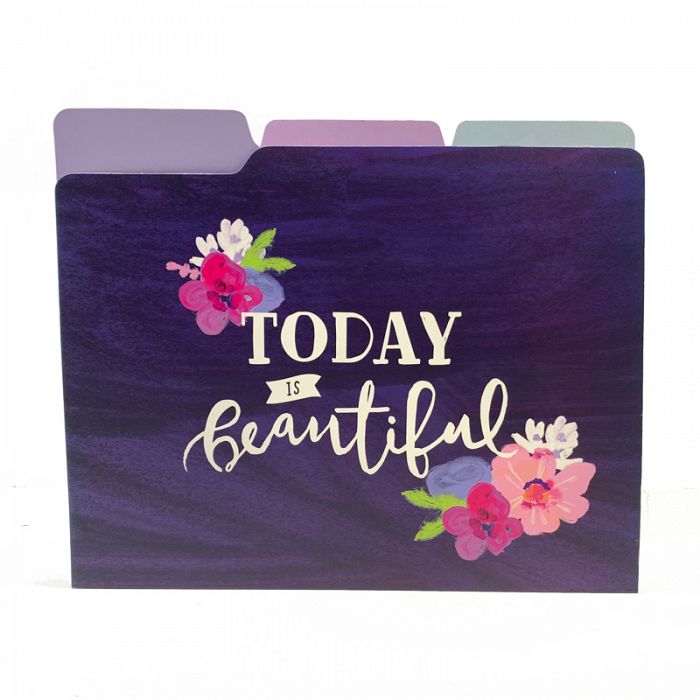 Silver Lining 6count File Folders