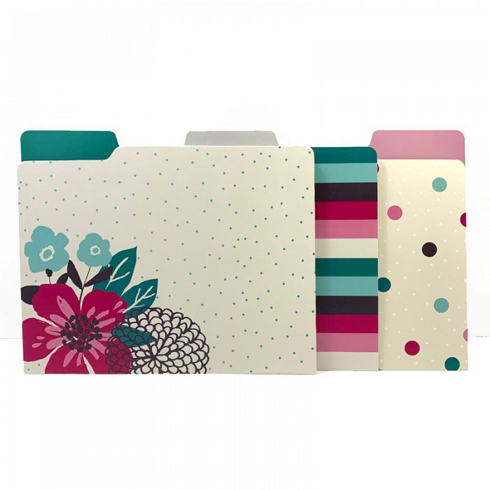 Panache 6count File Folders